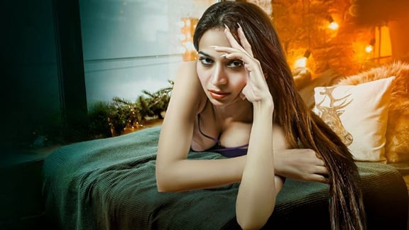 Diary EP1 PrimeShots Hot Hindi Web Series